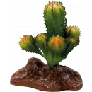REPTO PLANT CACTUS, 8715897339639, R5100035