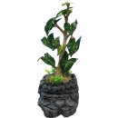 Repto Repto Water Dripping Tree, 8715897346095, R3100155