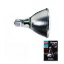 Warmtelamp nodig? Arcadia Halogen Basking Spot 75 Watt kopen? | RSHA75E27 | 844046003843