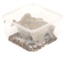 Starfood - Krulvliegen (Musca domestica) | KRVD | 8717545218112