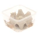 Starfood - Woestijnsprinkhanen Klein - maat 6 (Schistocerca gregaria) | SG6 | 8717545216149