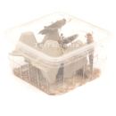 Starfood  - Woestijnsprinkhanen volwassen - maat 8 (Schistocerca gregaria) | SG8 | 8717545216187