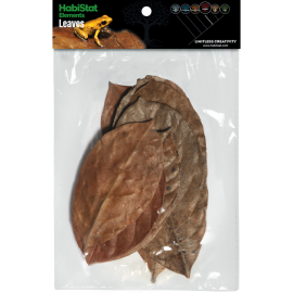 Jackfruit Leaves, 10 stuks