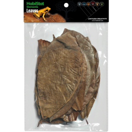 Mixed Leaves, 30 stuks