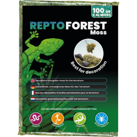 Forest Moss, 100 gram