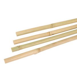 Bamboestok, Ø100-120mm, 150 cm