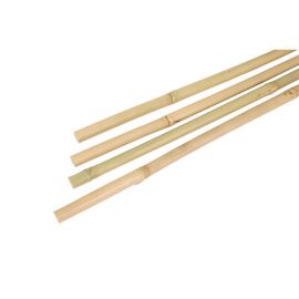 Bamboestok, Ø100-120mm, 150 cm