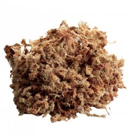 New Zealand Sphagnum Moss 1,31liter
