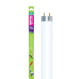 Vogellampen met UVB & daglicht kopen? Arcadia Vogellamp T8 UV lamp [150 cm / 58 Watt]  | CFB58 | 830857000560