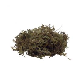 Forest Moss, 100 gram