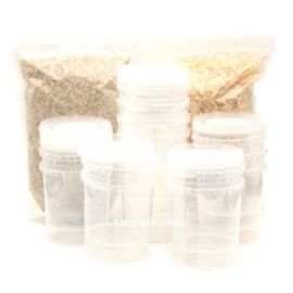 Fruitvliegen kweekset (15 potjes), 6095544856897