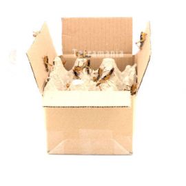 Starfood - Bulk Treksprinkhanen Volwassen - maat 8 (Locusta migratoria) | SL8B | 8717545215289