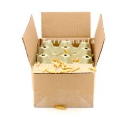 Levende wasmotten op houtkrul KG, 6095544460469, WASKG