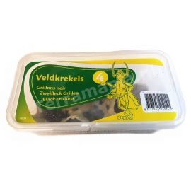 Veldkrekels (4), Klein, voedseldieren, 6095544398359