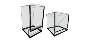 Spinnen / insecten terrarium