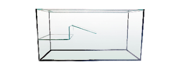 Schildpaddenbak, schildpadden aquarium